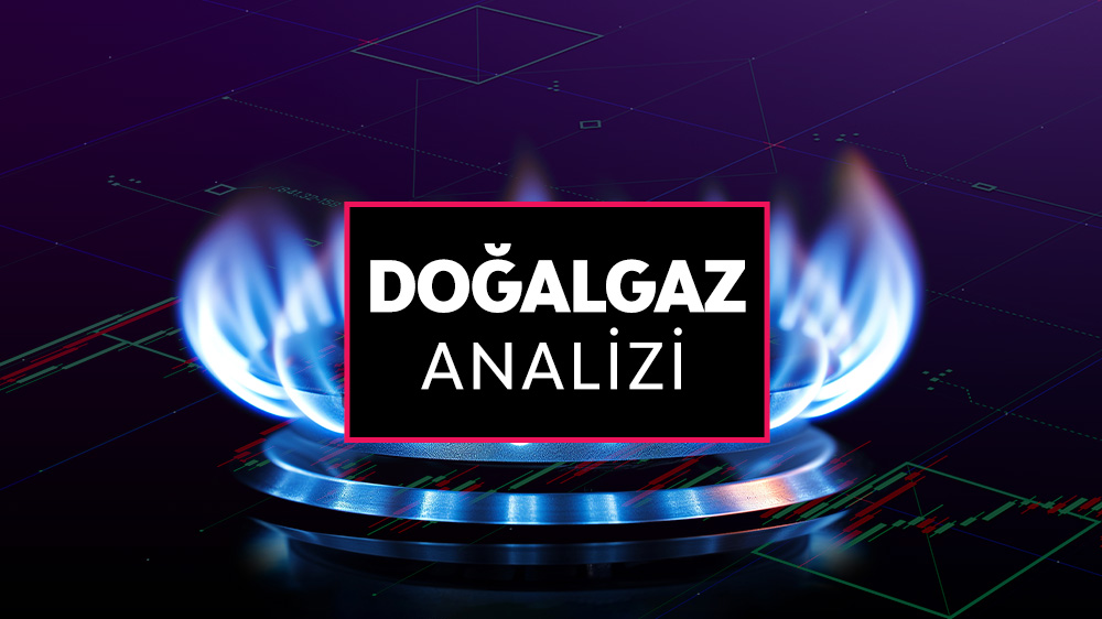 dogalgaz-analizi