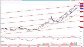 24 Kasım 2022 Forex Analizi: WTI